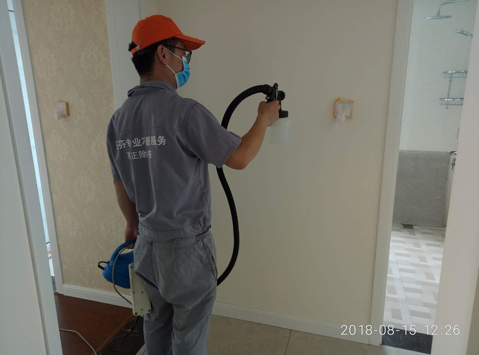 客餐廳墻面全方位噴涂施工 客餐廳墻面全方位噴涂施工